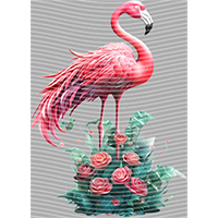 Animal Integration-DW 1494